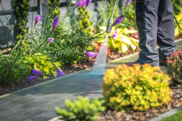Best Dumpster Area Cleaning  in Foster City, CA